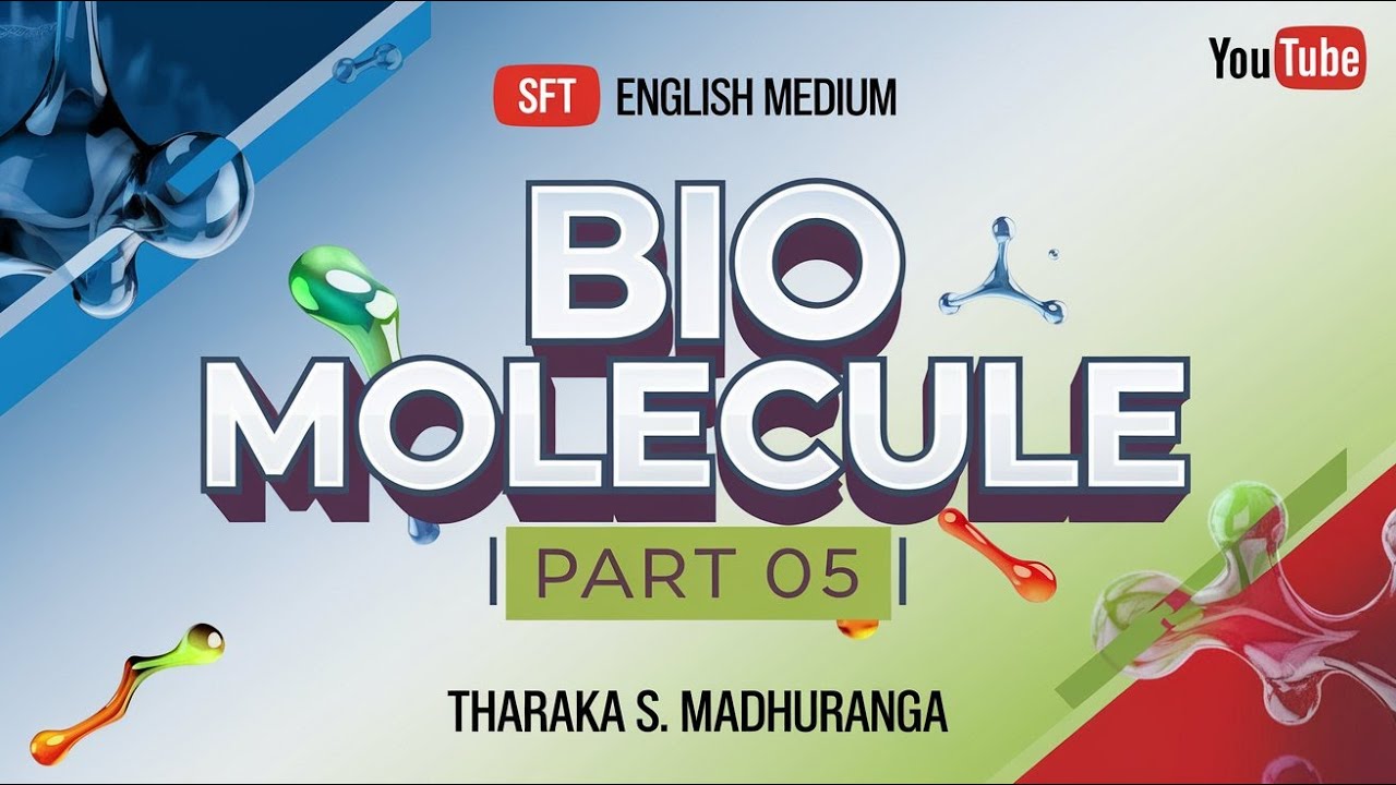 Lesson No 13 – Structure of Biomolecules and Their Importance Recording + Tute